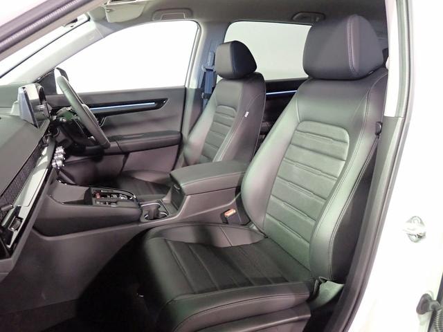 Миниатюра 28