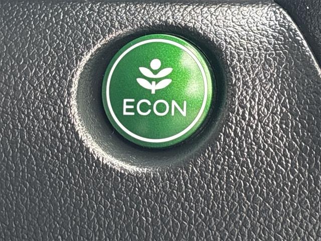 Миниатюра 12