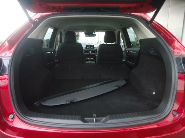 Миниатюра 56