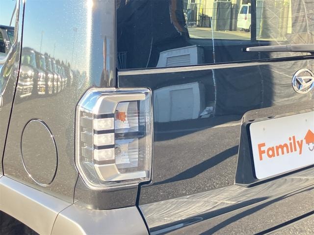 Миниатюра 66