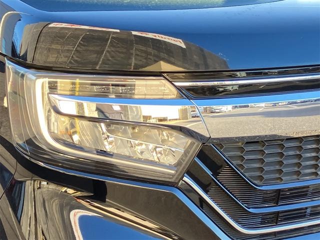 Миниатюра 55