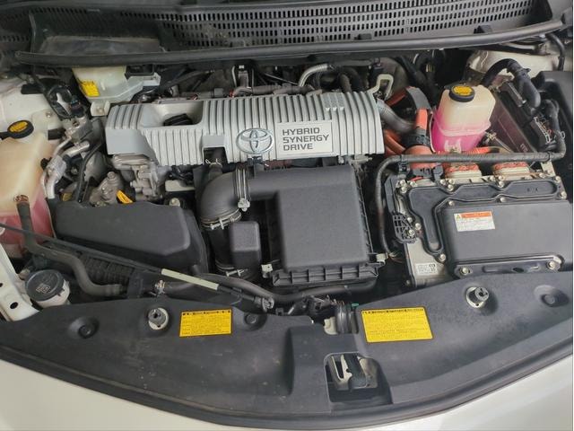 Миниатюра 51