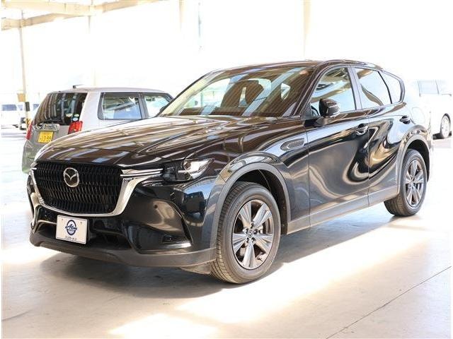 Миниатюра 22