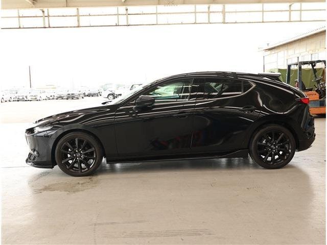 Миниатюра 31