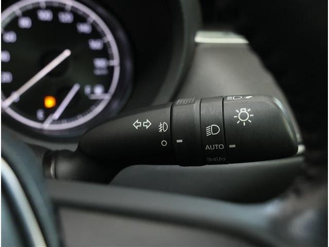 Миниатюра 41