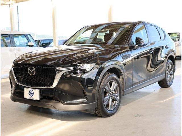 Миниатюра 25