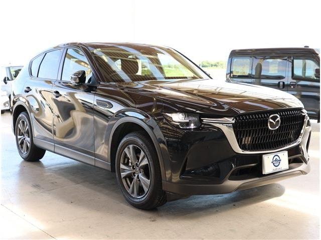 Миниатюра 27