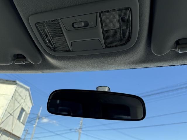 Миниатюра 33