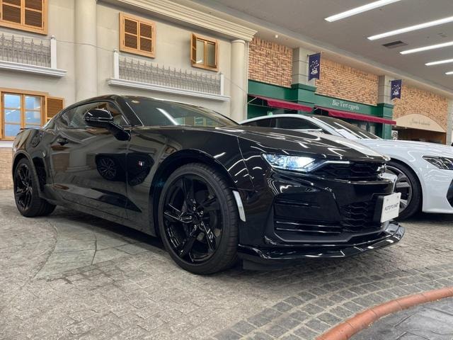 Миниатюра 67