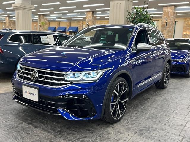 Миниатюра 65