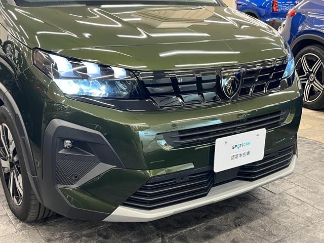 Миниатюра 52