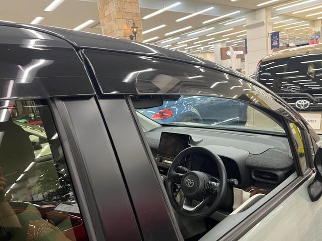 Миниатюра 51