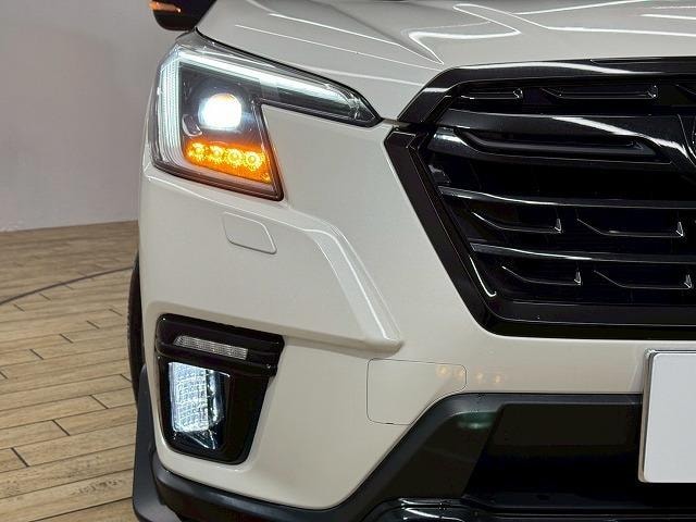 Миниатюра 33