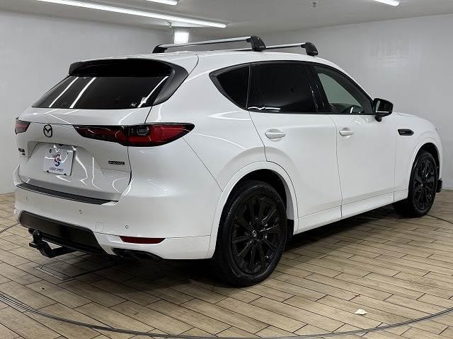 Миниатюра 17