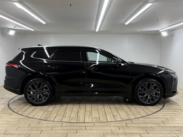 Миниатюра 65