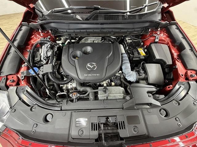 Миниатюра 55