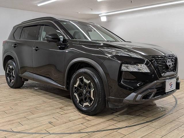 Миниатюра 67