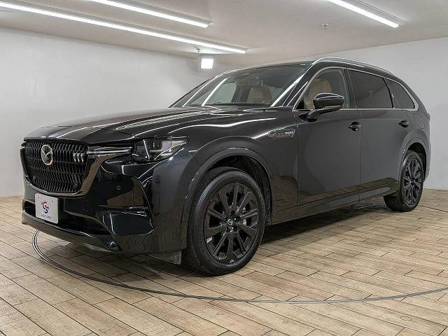 Миниатюра 67