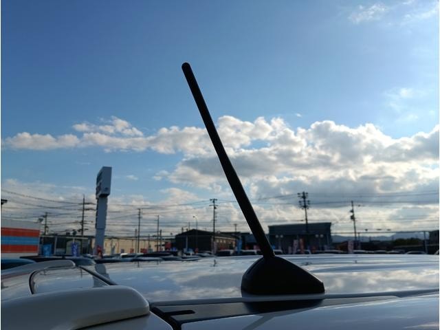 Миниатюра 31