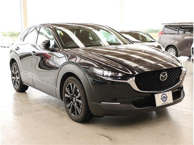 Миниатюра 28