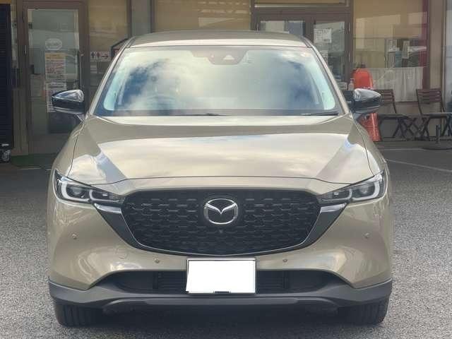 Миниатюра 24