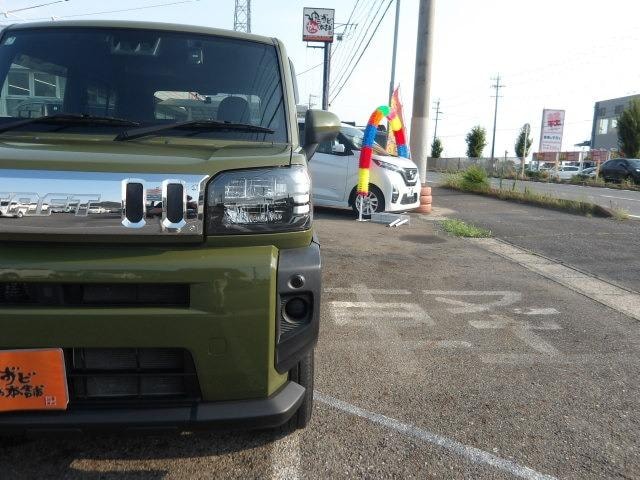 Миниатюра 67