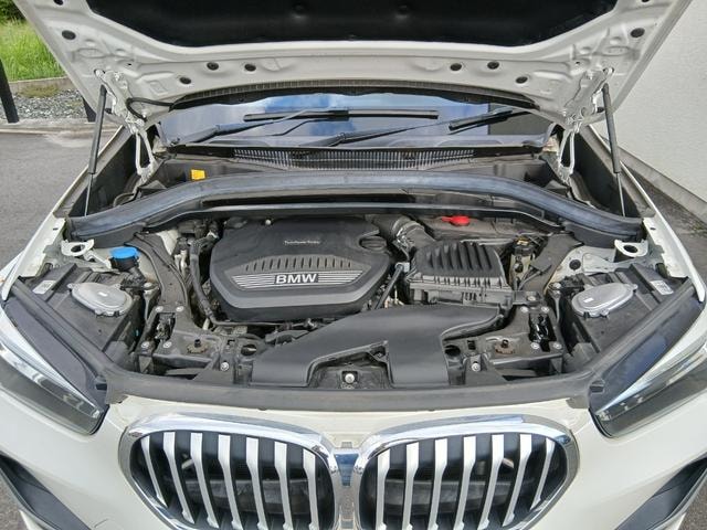 Миниатюра 44