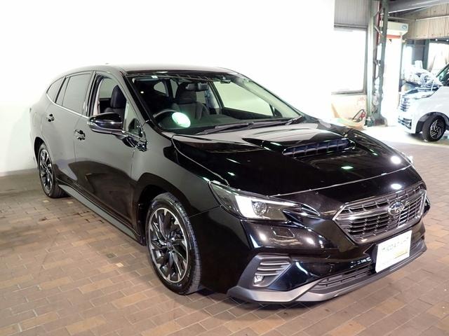 Миниатюра 33