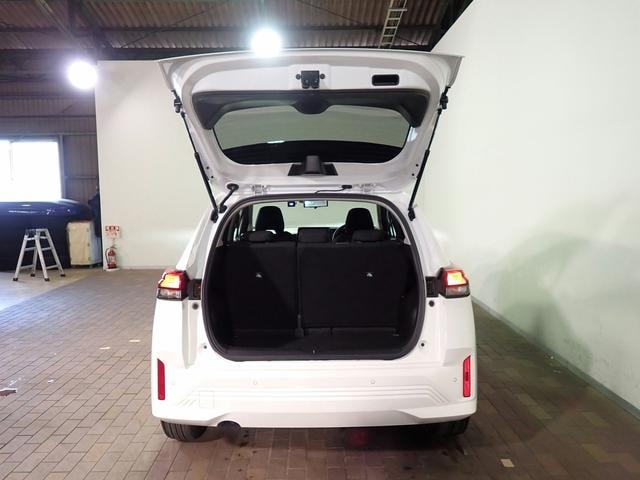 Миниатюра 29