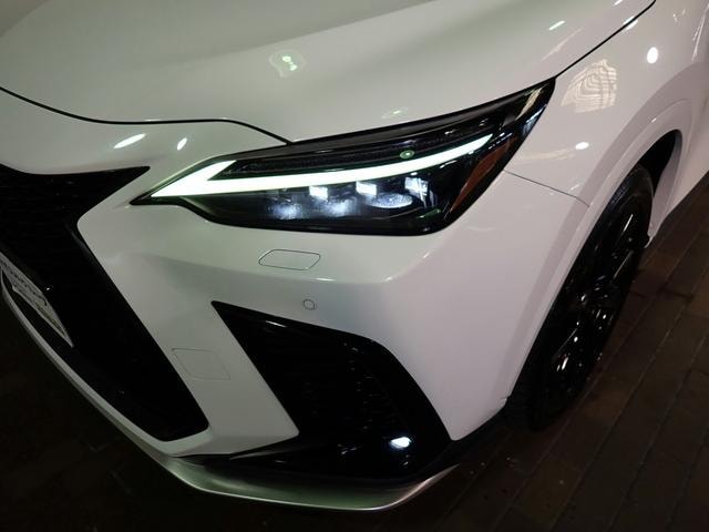 Миниатюра 31
