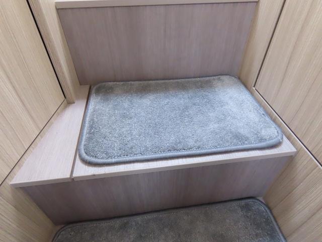 Миниатюра 47