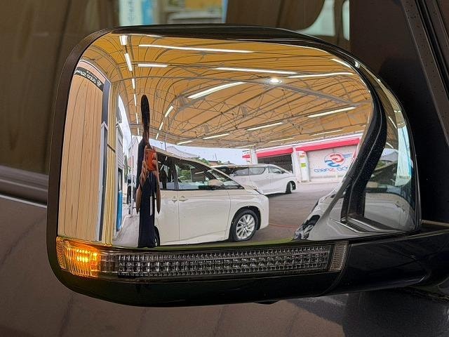 Миниатюра 30