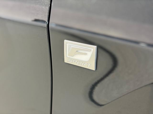 Миниатюра 17