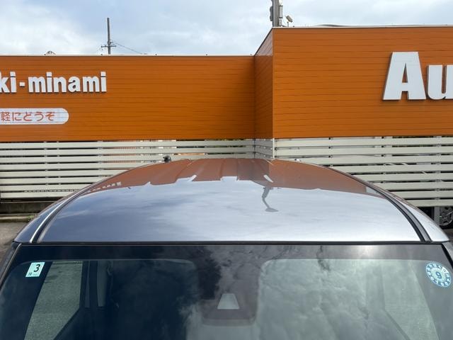 Миниатюра 31