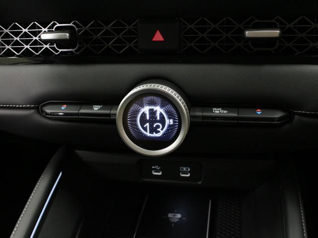 Миниатюра 55