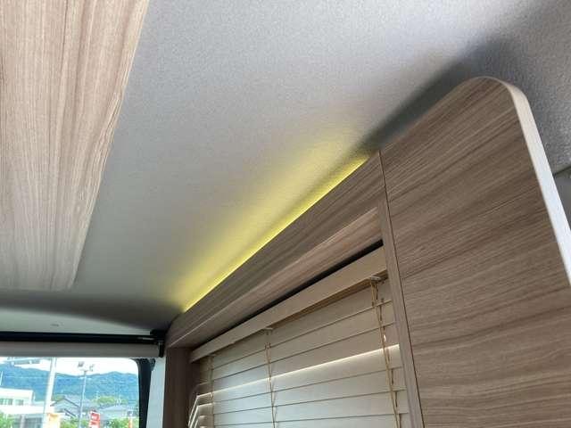 Миниатюра 49