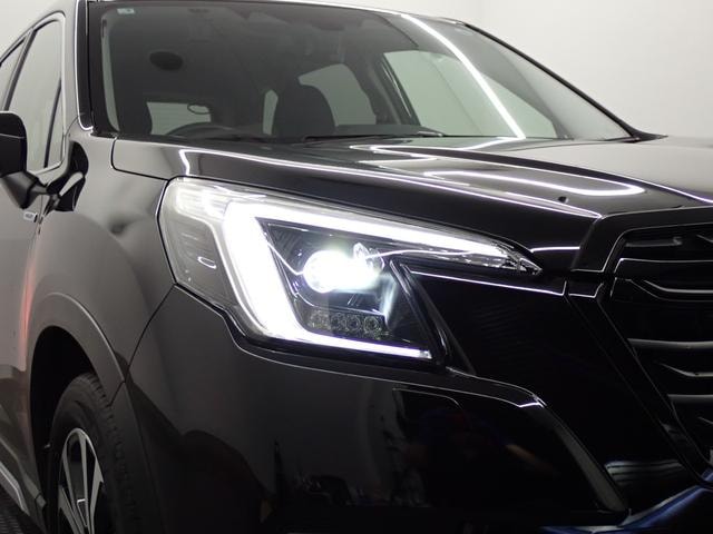 Миниатюра 19