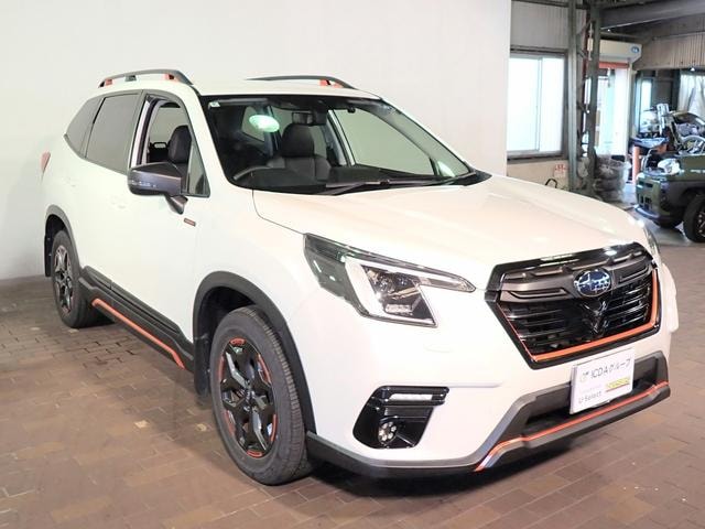 Миниатюра 33