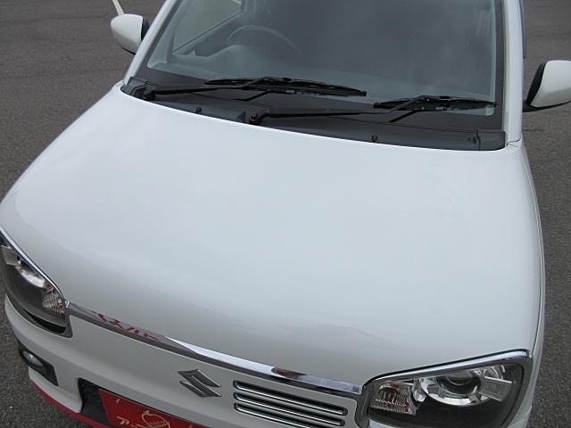 Миниатюра 33