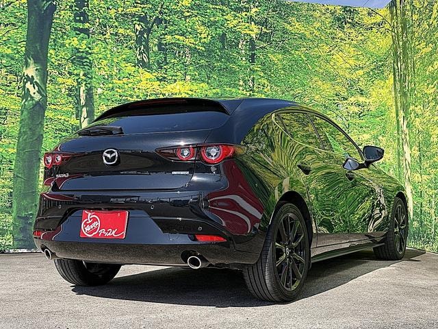 Миниатюра 15