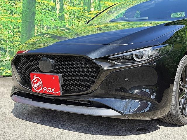 Миниатюра 28