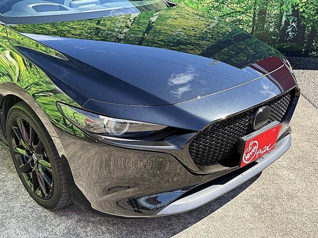 Миниатюра 57