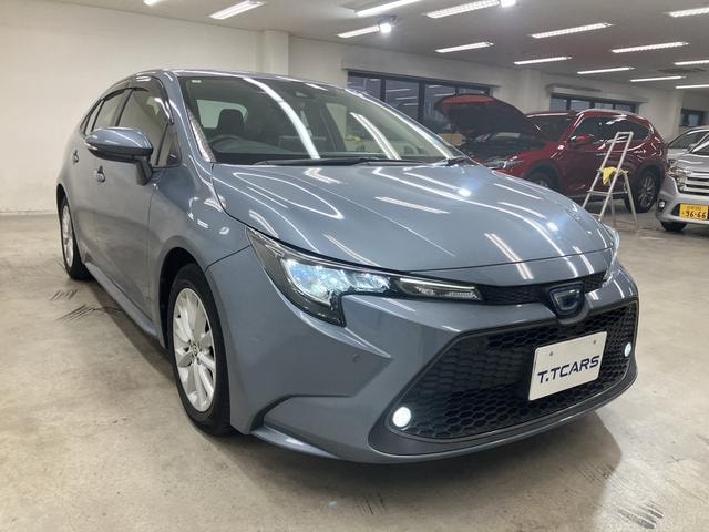 Миниатюра 41