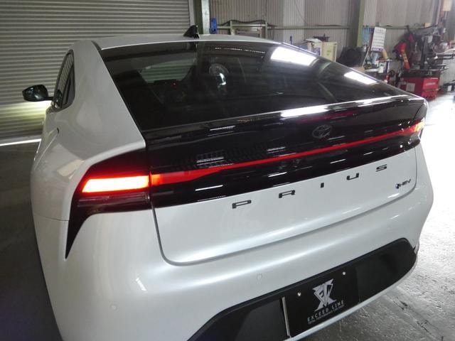 Миниатюра 55