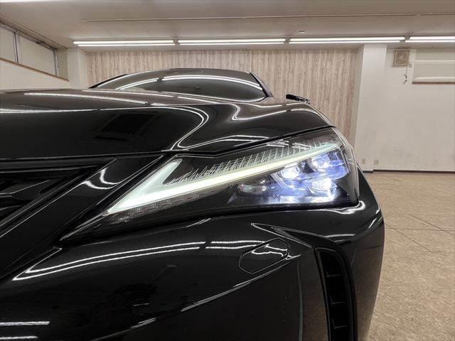 Миниатюра 12