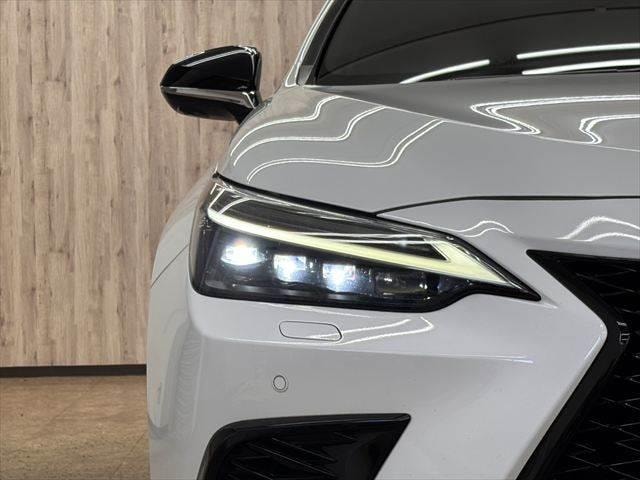 Миниатюра 30