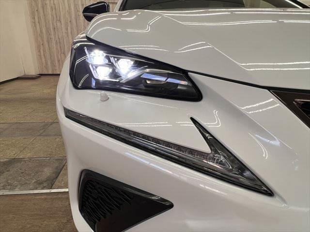 Миниатюра 31