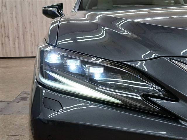 Миниатюра 28