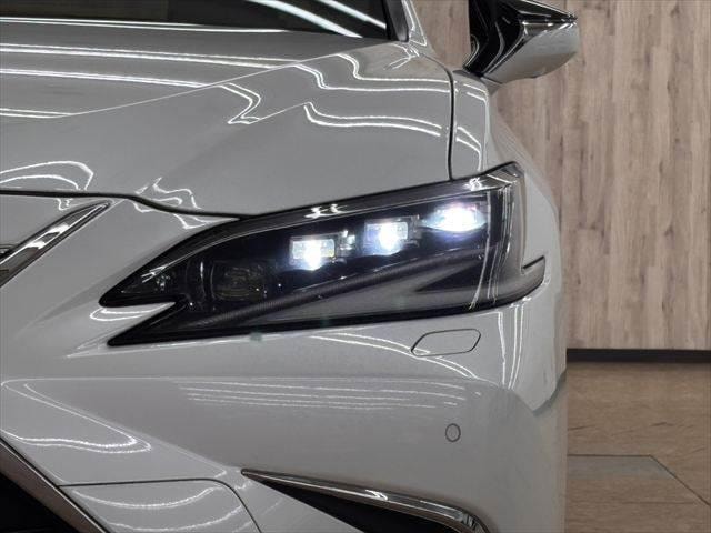Миниатюра 12