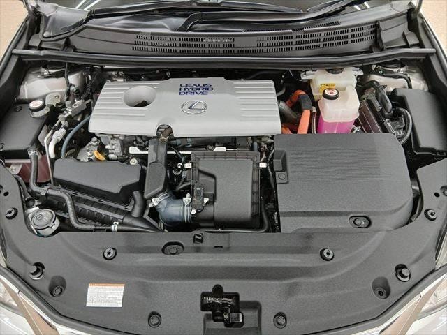 Миниатюра 28